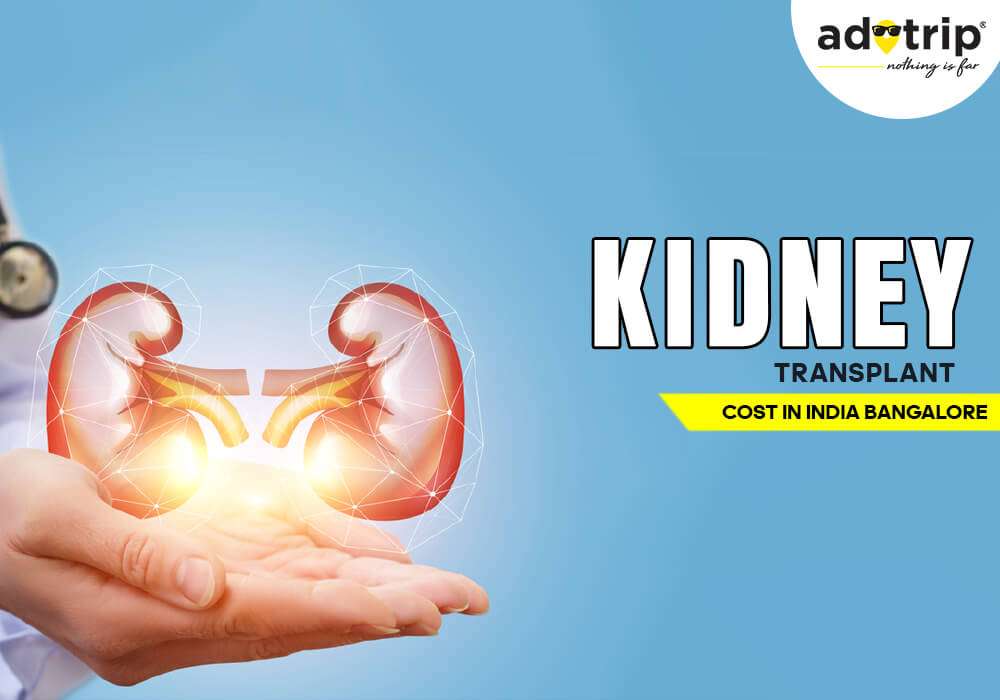 kidney transplant cost in bangalore